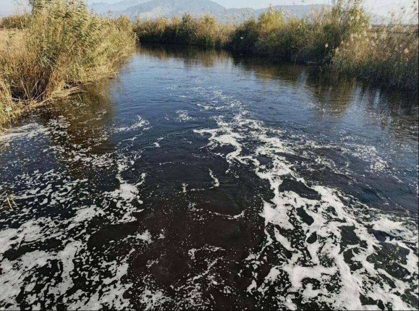 Büyük Menderes Nehri fabrikaların atıkları nedeniyle siyaha büründü