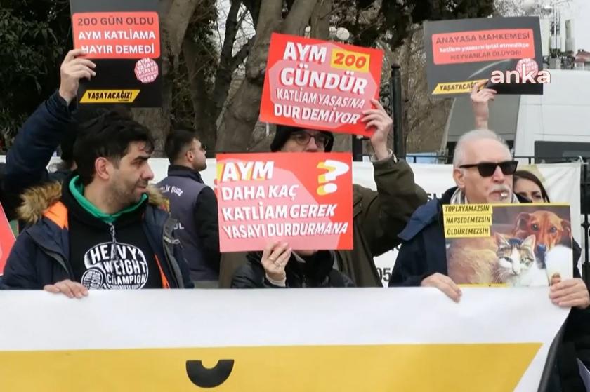 Yaşatacağız Platformundan sahipsiz hayvanlar kanununa tepki: AYM yasayı iptal et