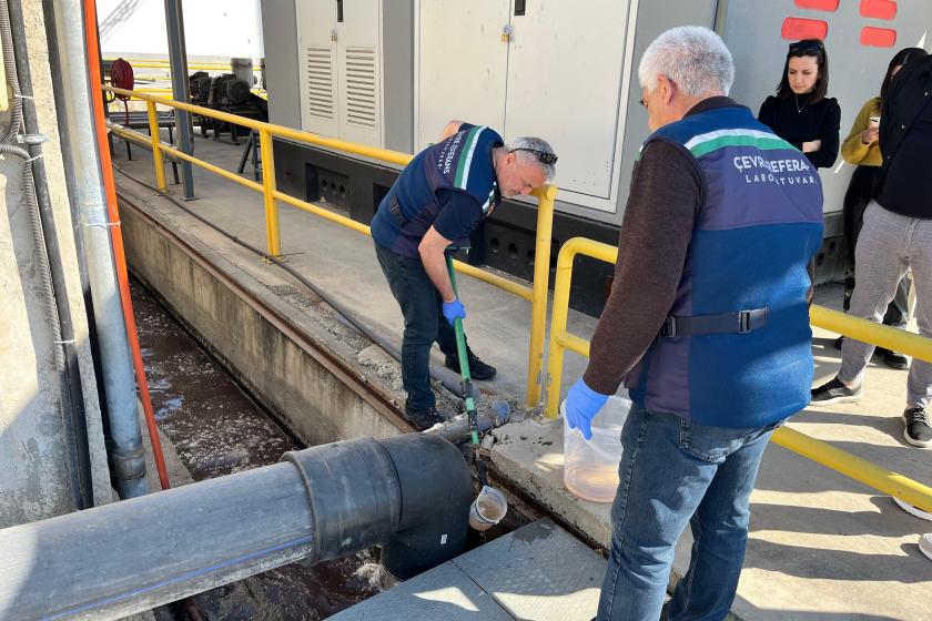 Bakanlıktan Ceyhan Nehri'ndeki balık ölümlerine inceleme: 21 noktadan numune alındı