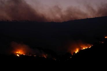 Urla'daki orman yangını 18,5 saat sonra kontrol altına alındı