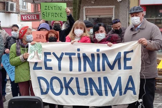 "Zeytinliklerin ölüm fermanı" pek çok kentte protesto edildi