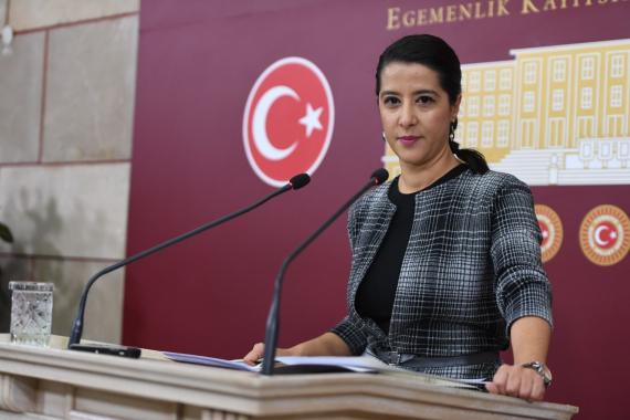 EMEP Milletvekili Sevda Karaca: GGM'ler göçmenler için cezaevine dönüştü