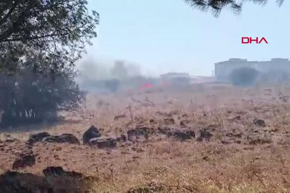 İzmir Foça'da orman yangını çıktı