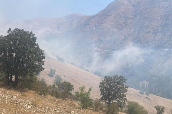 Diyarbakır’da orman yangını çıktı