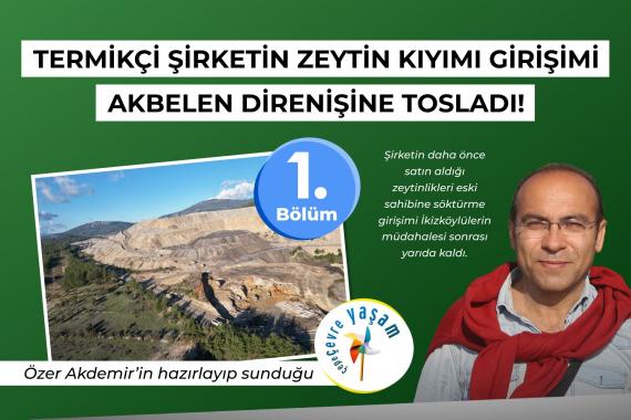 Termikçi şirketin zeytin kıyımı girişimi Akbelen direnişine tosladı! - Çepeçevre Yaşam