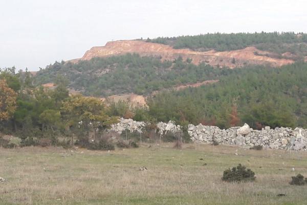 kaz dağı eteklerindeki doğa katliamı