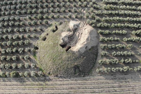 Manisa'da defineciler 2 bin 700 yıllık tümülüsleri iş makineleriyle tahrip etti