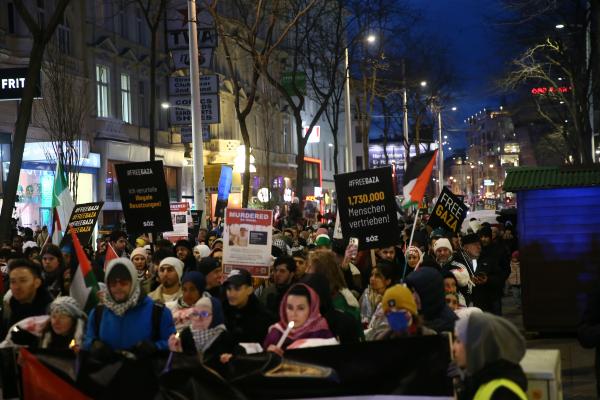 AVUSTURYA'da Filistin'e destek eylemi