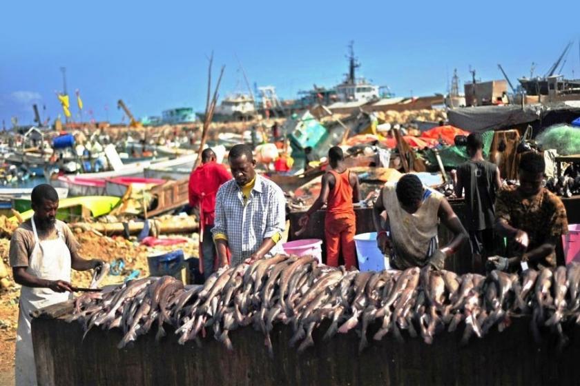 Et Sudan’dan, balık Somali’den