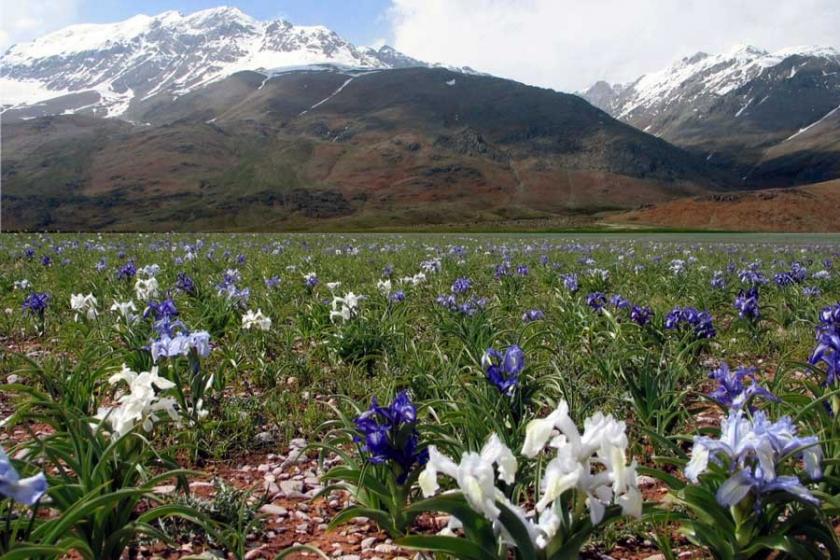 Konaktepe barajı su tutarsa Dersim Ovacık su altında kalacak