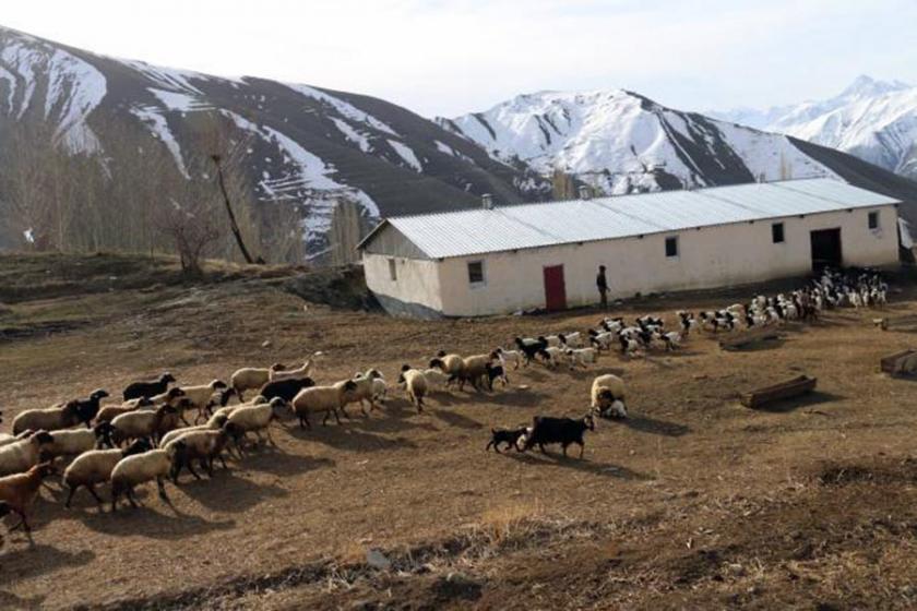 Hakkari'de köylüler isyan ediyor: Hani yayla yasakları kaldırılacaktı?