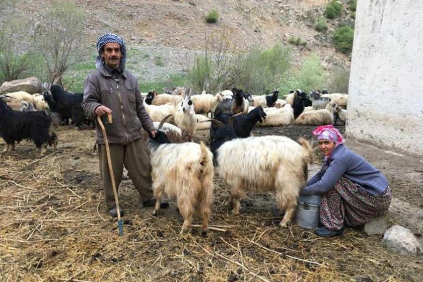 Hakkari’nin en verimli yaylaları yasaklı