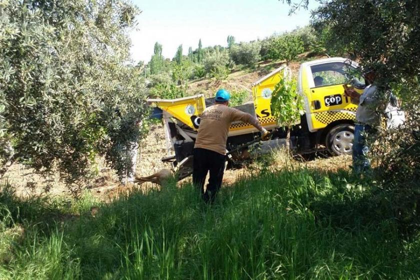 Manisa'da hayvan katliamına tepki