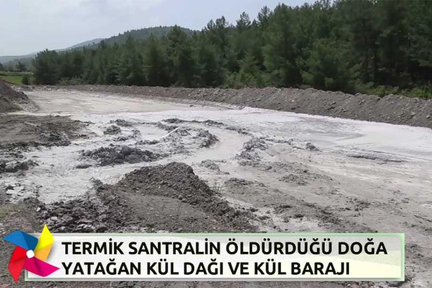 Çepeçevre Yaşam - Termik santralin öldürdüğü doğa: Yatağan kül barajı