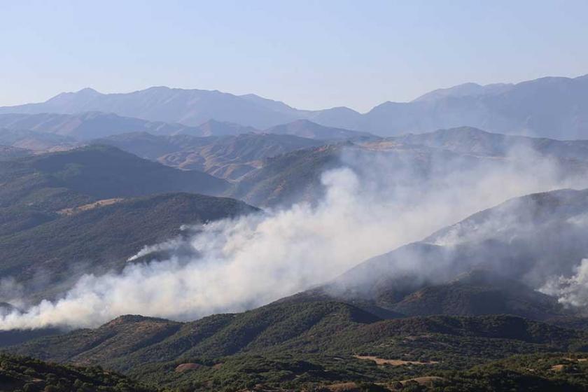 HDP'den Dersim yangını açıklaması: Valinin açıklaması boşa çıktı