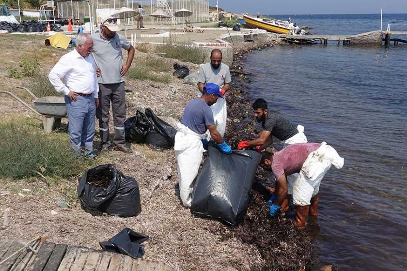 Foça'da denize petrol sızmasıyla ilgili şüpheli gemi inceleniyor