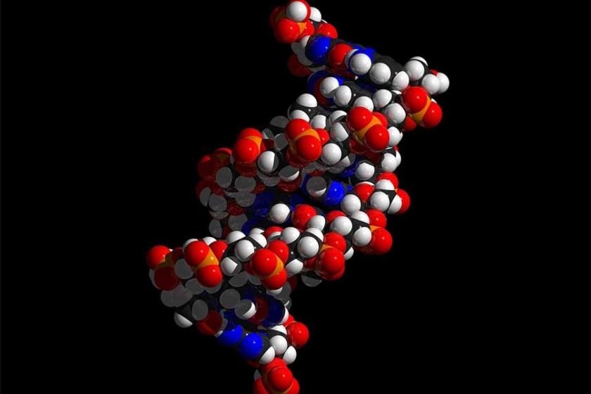 ‘Çocuklukta cinsel taciz, DNA’yı da yaralıyor’