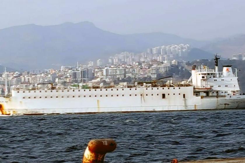 İzmir'e indirilmeyen angusları taşıyan gemi, İskenderun'da