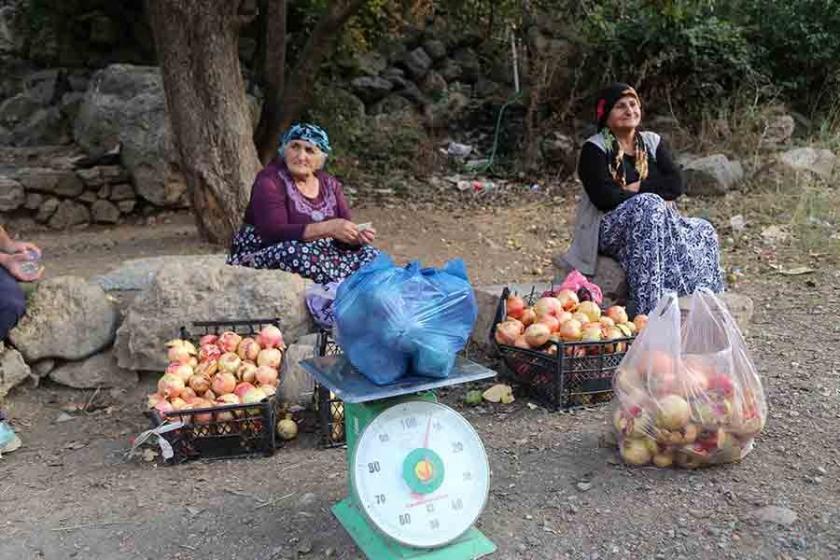 Bölgedeki yayla yasakları hayvancılığı bitiriyor