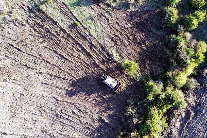 Malkara’da ormanı kiralayıp ağaçları söküyorlar