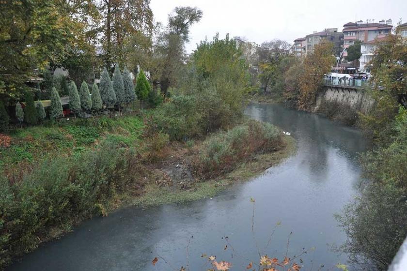 Bartın'da ırmak suyu fabrika atıkları yüzünden siyah akıyor