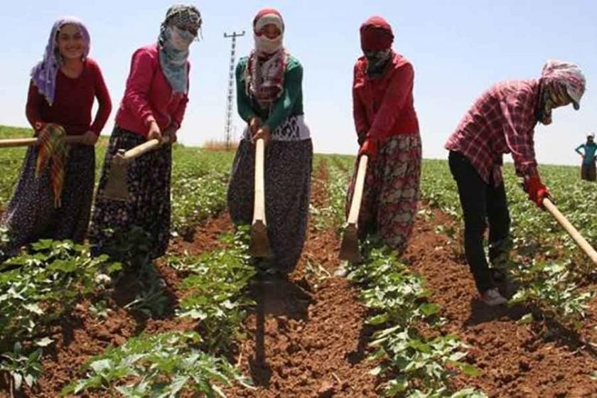 HDP'den kadın iş cinayetlerinin araştırılması önerisi