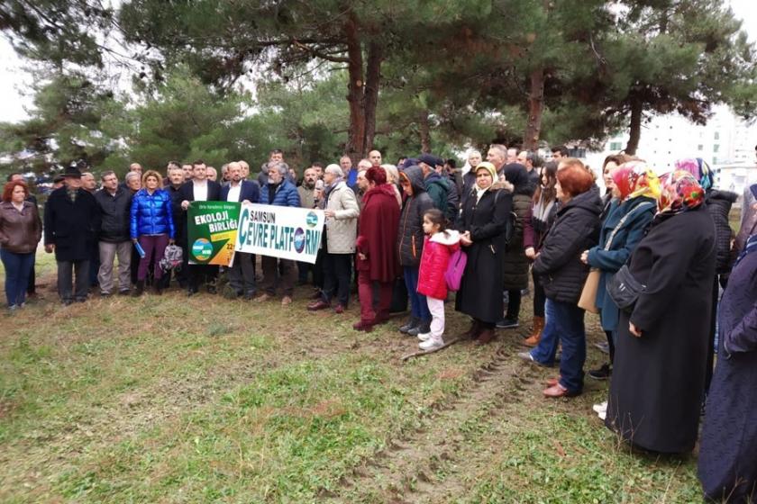 Samsun Büyükşehir Belediyesine 'ağaçlarımıza dokunma' çağrısı