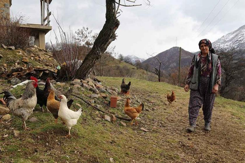 Pülümür'ün ilk kadın muhtarı Perihan Pekin yeniden aday oldu