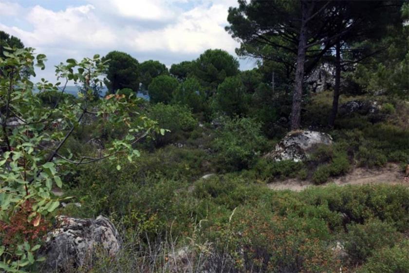 Bergama'da aynı köyün etrafına dördüncü taş ocağı izni verildi