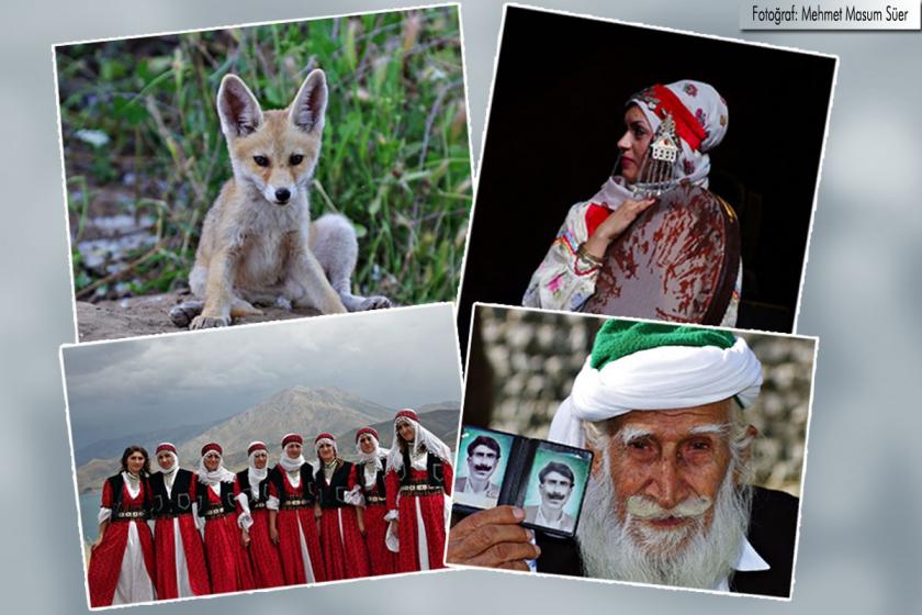 Fotoğraf sanatçısı Mehmet Süer: Her fotoğrafçı kendi öyküsünü anlatır