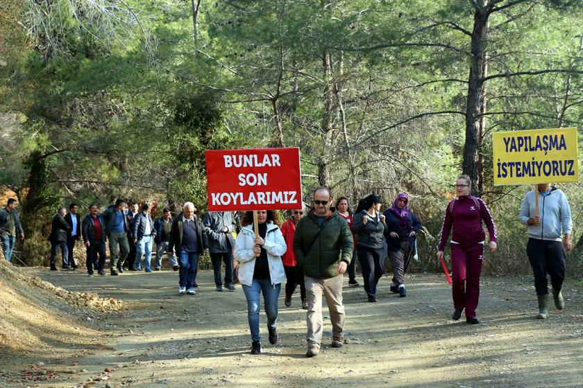 Kleopatra Koyu'nun kiralanması protesto edildi: Yapılaşma istemiyoruz