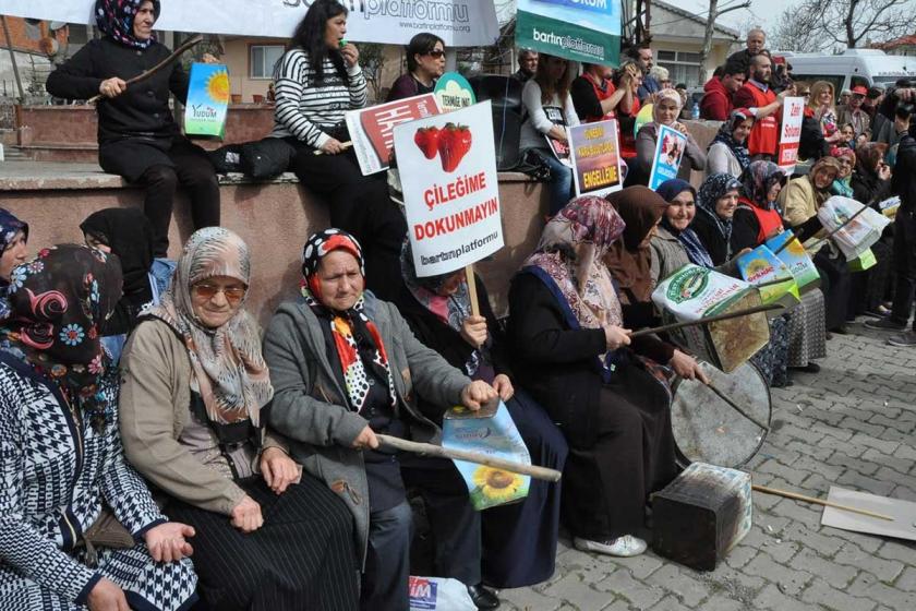 Danıştay, Amasra'daki termik santral için "ÇED olumlu" raporunu bozdu