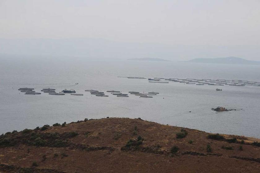 Karaburun'da Özel Çevre Koruma Alanı’nda balık çiftliğine izin verildi