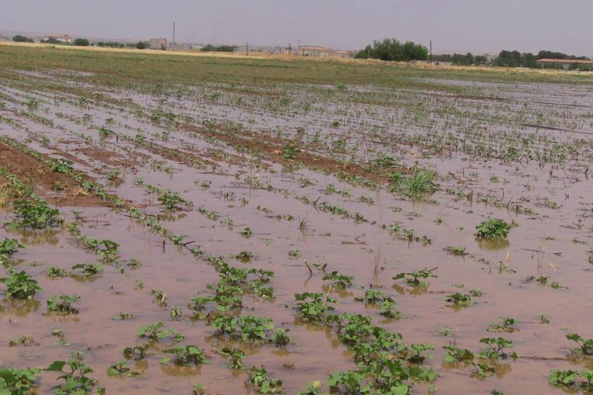 Suruç’ta arazi sulamak kabusa döndü