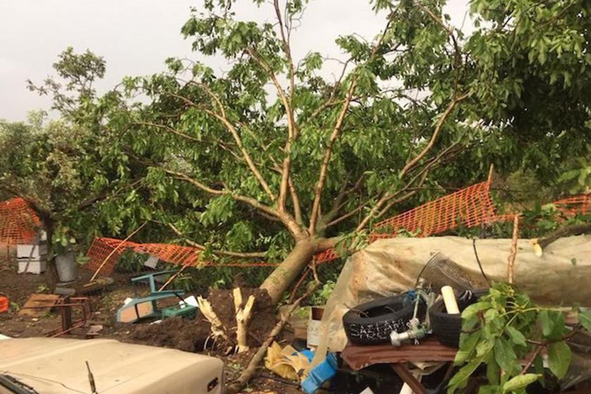 Meteoroloji'den Marmara için fırtına uyarısı: Ağaçlar devrilebilir