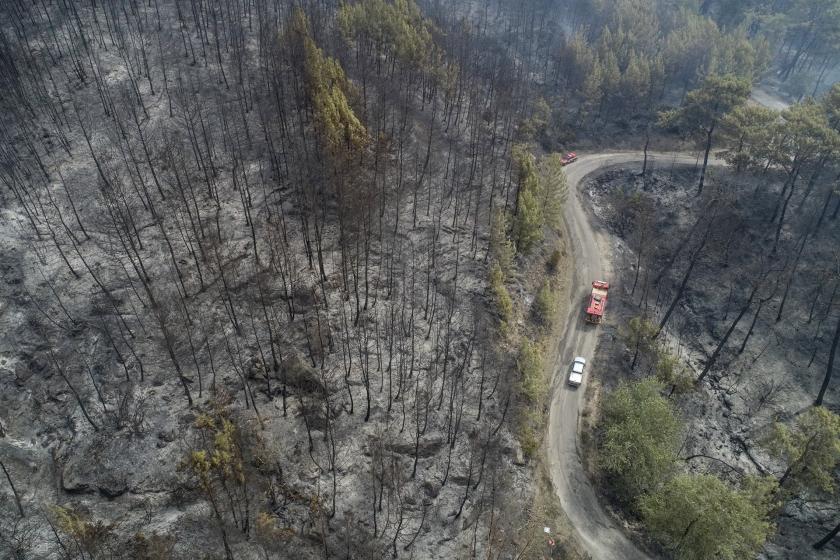 Muğla'da orman yangını | MUÇEP Sözcüsü: Milyonlarca canımız gitti