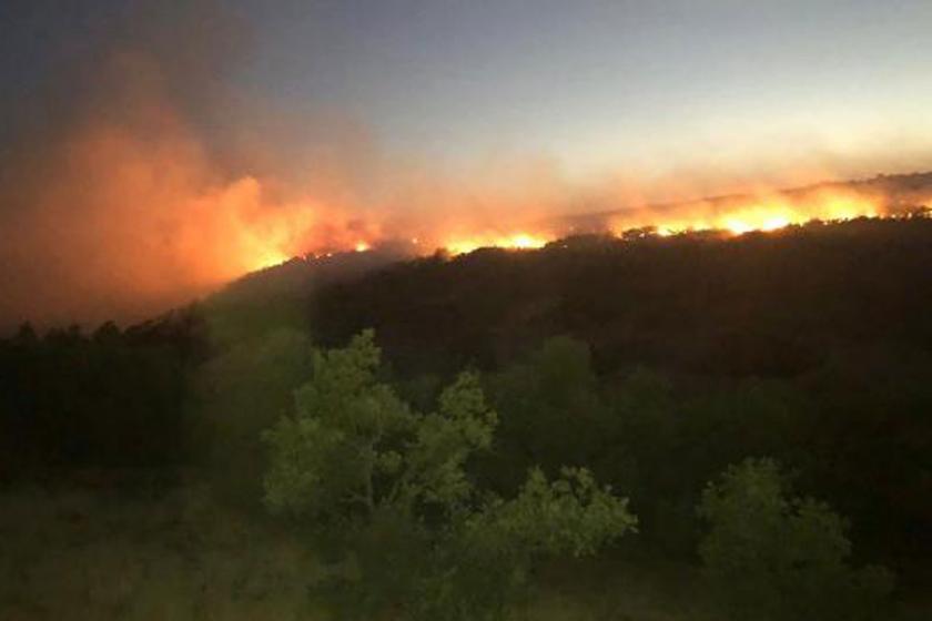 Elazığ Karakoçan’da ormanlık alanda yangın çıktı