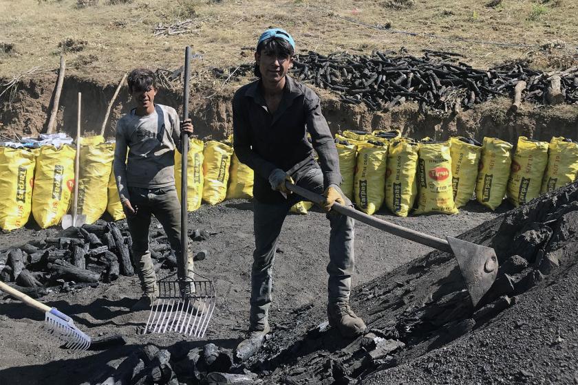 100 derece sıcağın yanı başında zorlu çalışma: Mangal kömürü üretimi