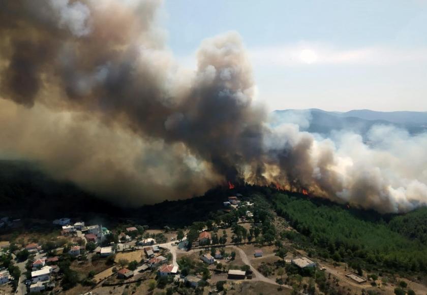 Muğla'da orman yangını çıktı