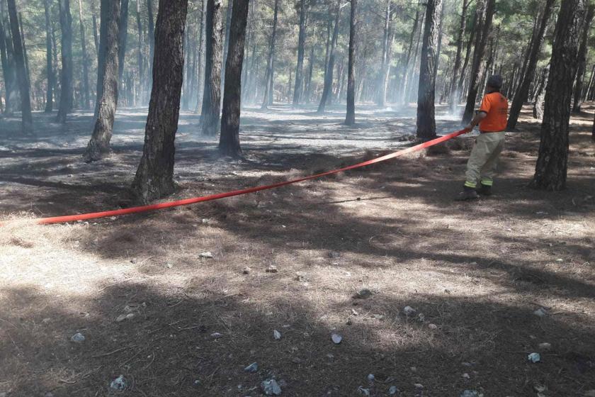 Maraş'ta piknik ateşi orman yangınına yol açtı