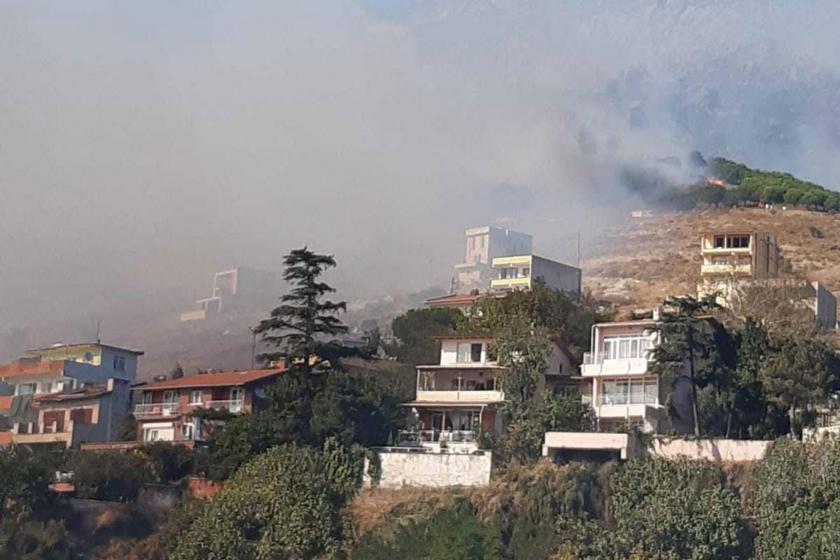 Marmara Adası'ndaki orman yangınına ilişkin 2 kişi tutuklandı