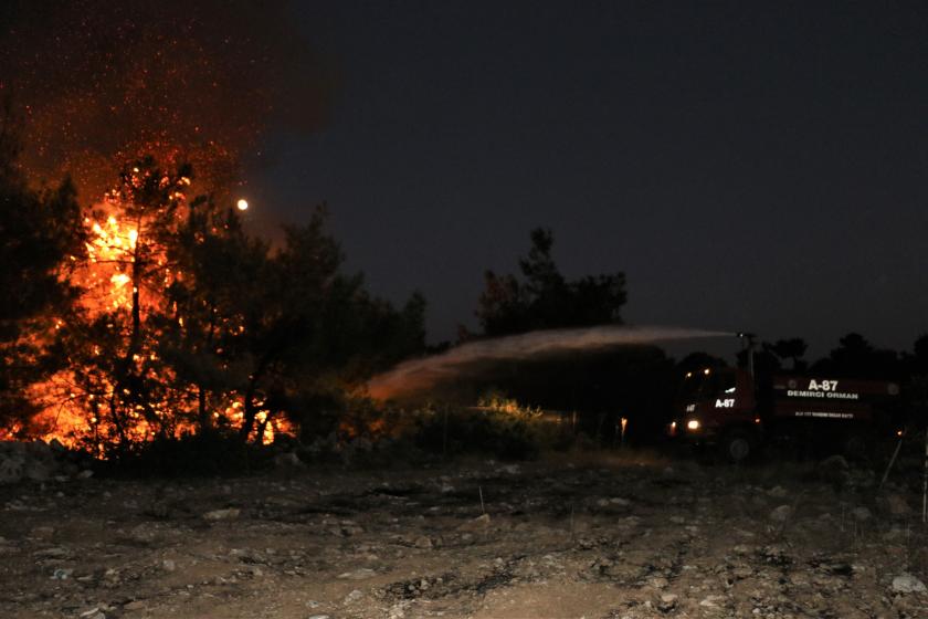 Manisa'da orman yangını: 15 dönümlük alan zarar gördü