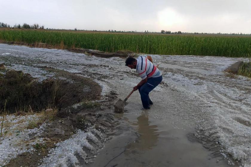 Aksaray’ı dolu vurdu: Üretici zararın karşılanmasını istiyor