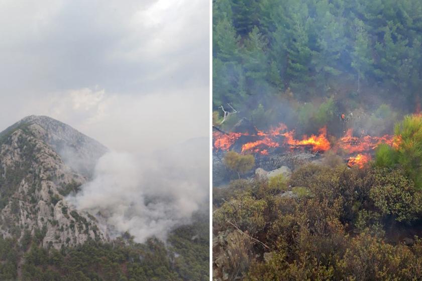 Muğla ve Antalya'daki orman yangınları kontrol altına alındı