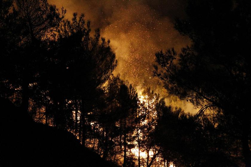 Hatay'da 25 farklı noktada orman yangını çıktı