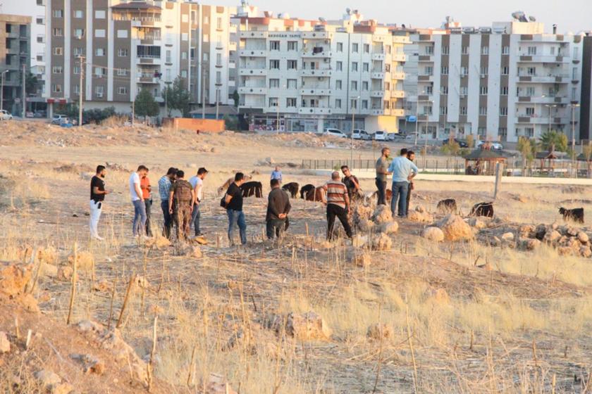 Mardin'de bulduğu cisim elinde patlayan çobanın hayati tehlikesi sürüyor