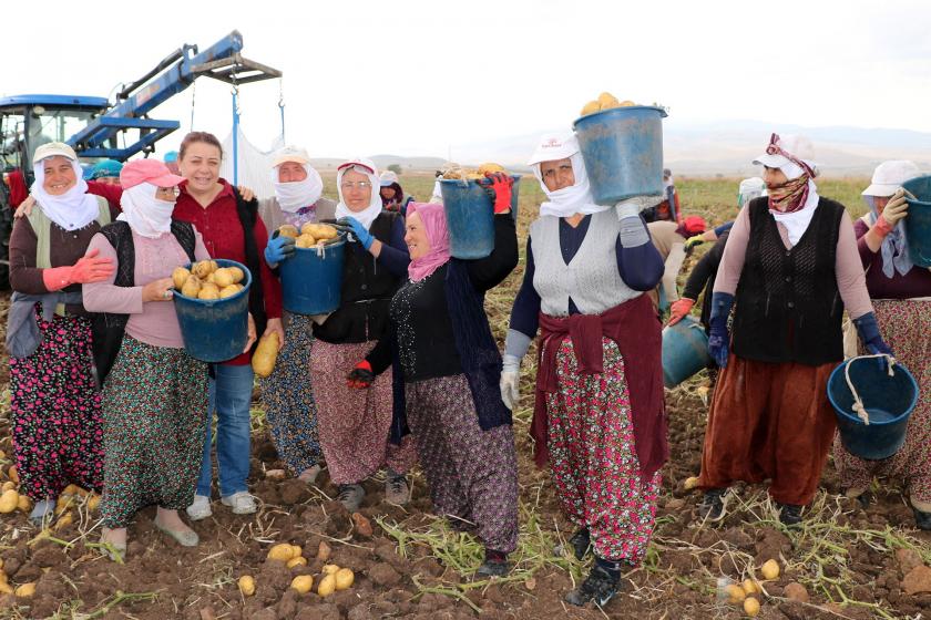 Patates üreticisi maliyetin düşürülmesini istedi