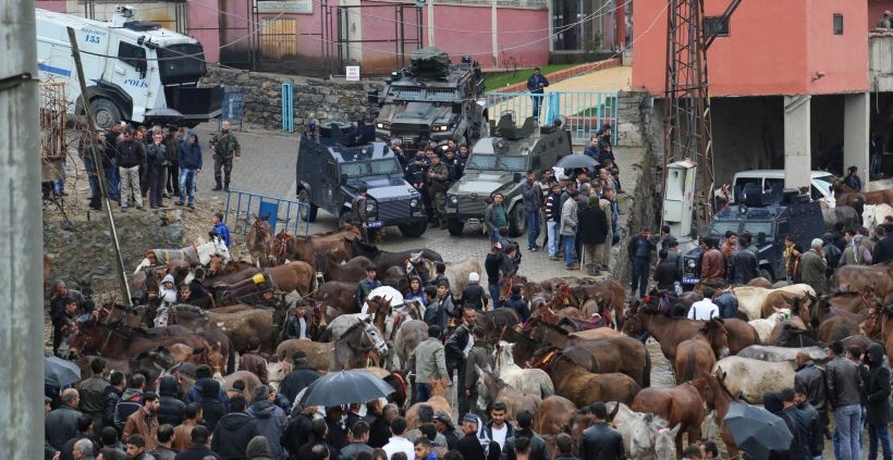 Hayvanların imhasına karşı çıkan Uluderelilere polis saldırısı