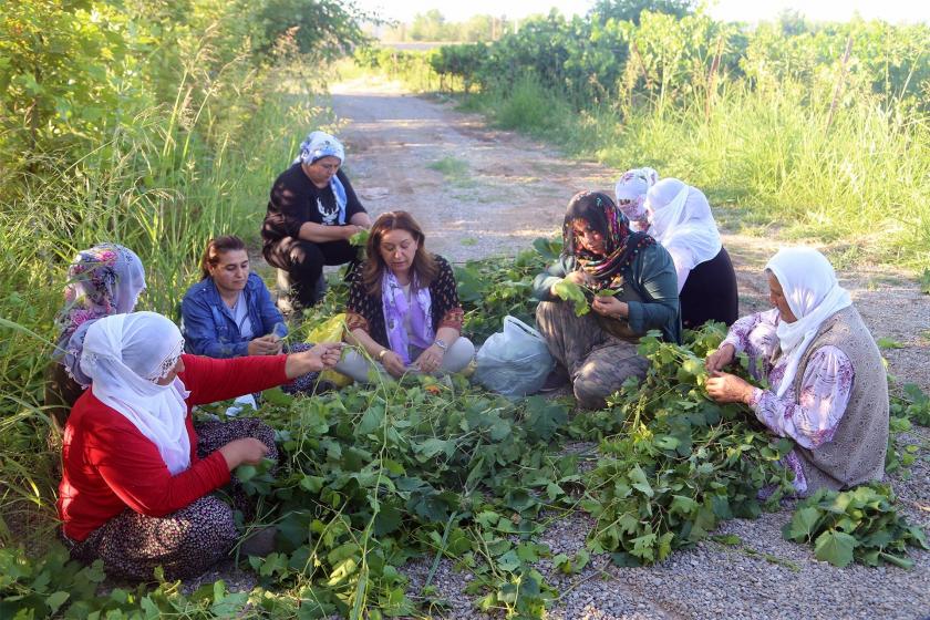 Bismil kayyumu kadınların bahçesine el koydu, 50 kadın işsiz bırakıldı