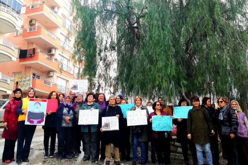 Dikili'de kesilmek istenilen ağaç için mahalleli eylem yaptı